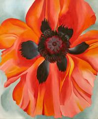 Red Poppy
