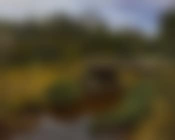 Bridge over Stream (preview)