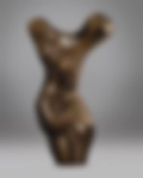 TORSE DES PYRÉNÉES (preview)