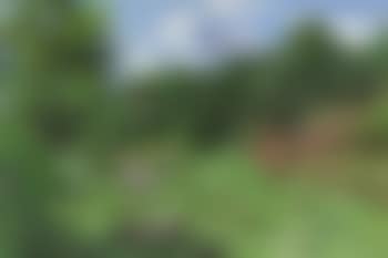 Sunny Day, Laurentians , (preview)