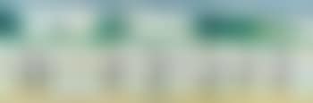 Persévérez! (Pinguine am Strand) , (preview)