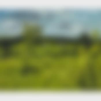 Early summer landscape, near Calumet , (preview)