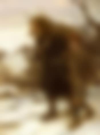 Collecting firewood (preview)