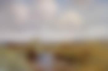 Meadow stream (preview)