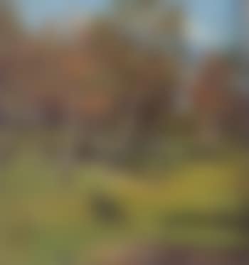Landscape with tree (preview)