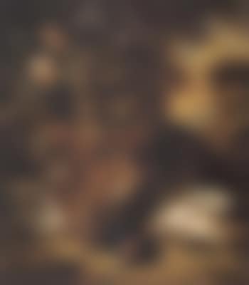 Still life of dead birds (preview)