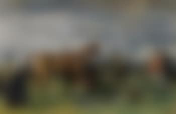 The Red Prince Mare (preview)