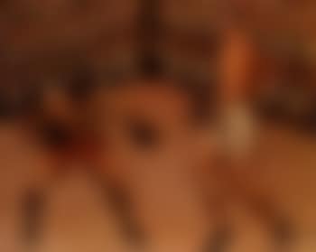 Boxers (preview)