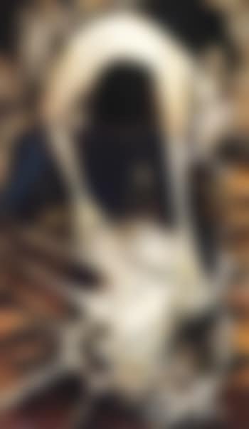 Collecting dead wool (preview)