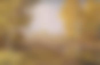 Autumn landscape (preview)