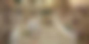 Roman beauty with doves (preview)