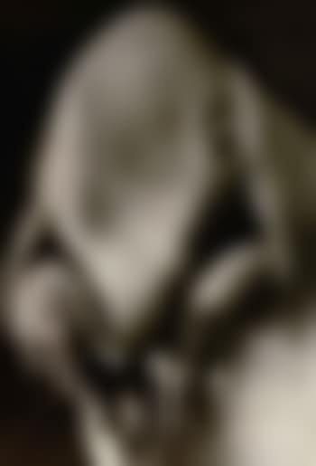 Pere ubu (preview)