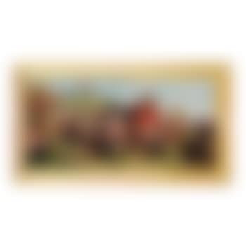 Circus leaving town (preview)