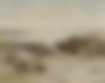 Children playing along shoreline (preview)