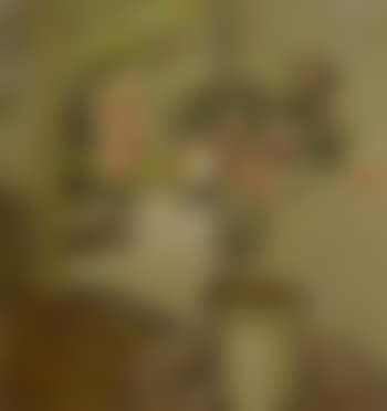 Mabel Annesley in the artist's garden (preview)