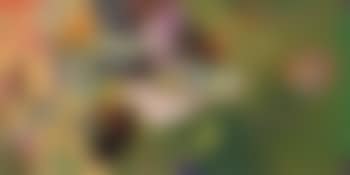 INLE - composition (preview)