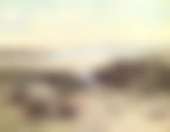 Looking out to sea (preview)