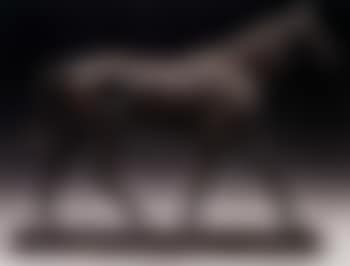 Mill Reef (preview)