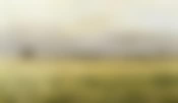 Landscape with windmill (preview)