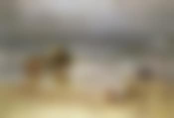 As happy as the day is long (preview)