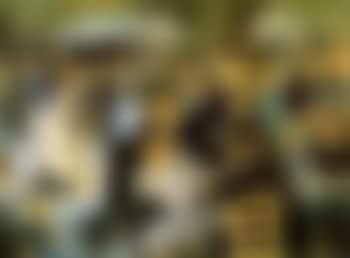 Au Moulin de la Galette (preview)