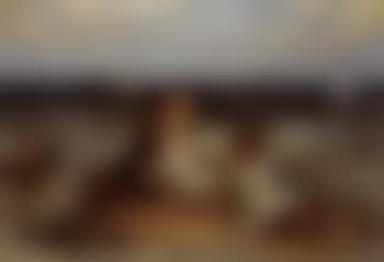 When the boats come in (preview)