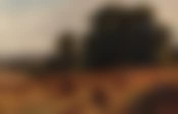 Corn fields, Walton, Surrey, looking at Dorking. Bit of the river Mole at Norbury, Surrey (preview)