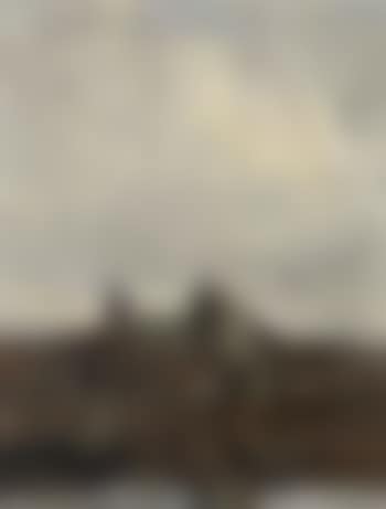 The skyline of 's-Hertogenbosch with the St Jan Cathedral (preview)