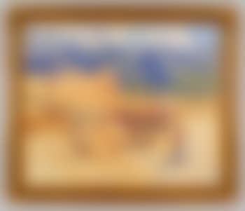 Indian Pueblo, NM (preview)