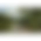 Welsh valley (preview)