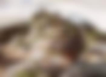 Saguenay (preview)