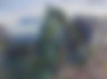 Tweed Valley Rainforest Ridge and Beechmont (preview)