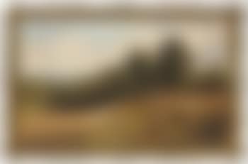 Through the corn fields to the sea (preview)