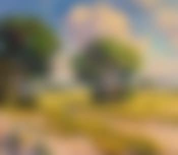 Landscape with cactus and trees (preview)