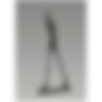 L'homme Qui Marche I (preview)