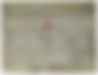 Blanc amb signe vermellós (White with Reddish Sign) (preview)