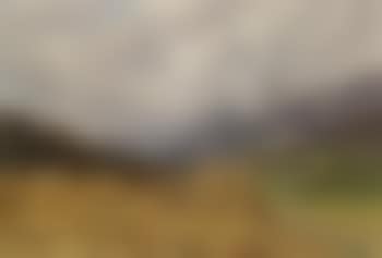 The grain harvest (preview)