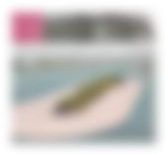 Surrounded islands (project for Biscayne Bay, Greater Miami, Florida) by Christo (preview)