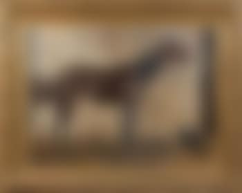 Portrait du cheval Merlin né en 1892 gagnant du Grand Prix de Deauville 1895, entrainé par G-Cunnington (preview)