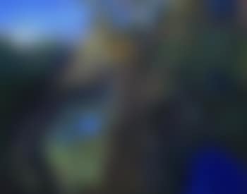 Blue Pools Springbook, Springbook to Beechmont (preview)