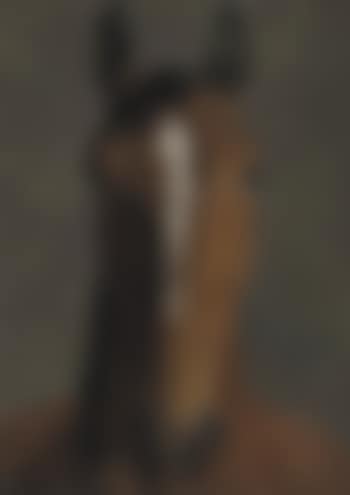 Head of a bay horse (preview)