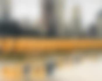 The Gates - Central Park by Christo (preview)