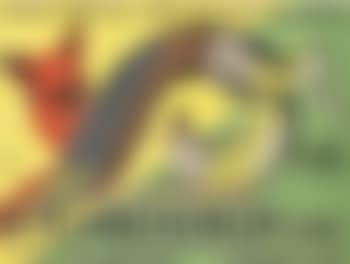 Pelzfarberei Schlammerdinger (preview)