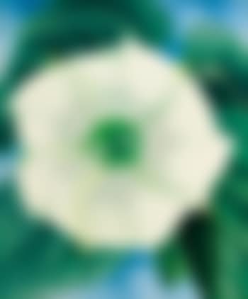 Jimson Weed/White Flower No. 1 (preview)