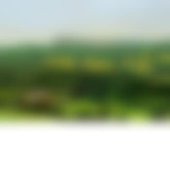 From Butterville Rd #4 (preview)