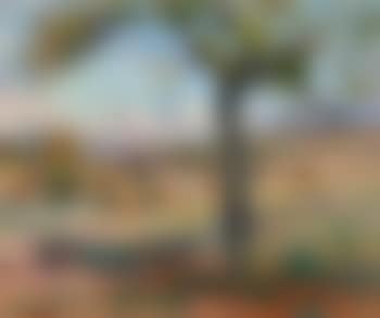 Sommer Landscape in the Provence with Olive Trees and Haystack (preview)