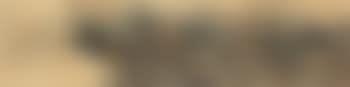 Landscape (preview)