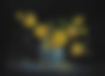 Yellow Flowers (preview)