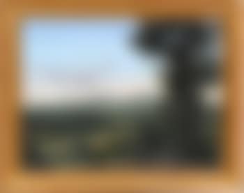 View from Towpath Road (preview)