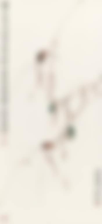 Cicada (preview)